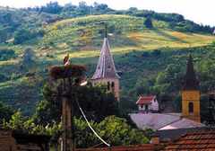 Miasto Tokaj, Węgry